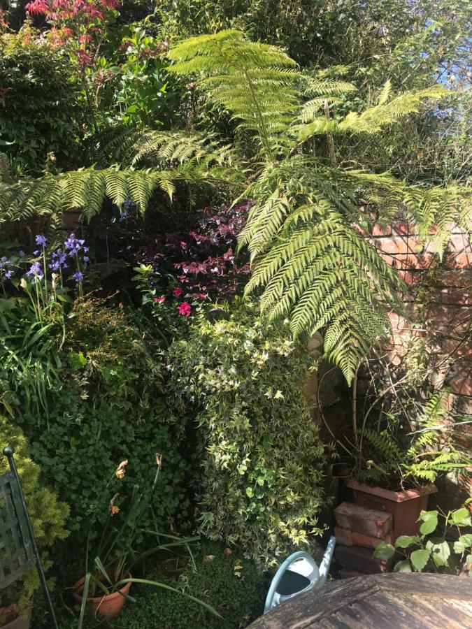 1920'S House. Private En Suite Sitting Room . Dog Friendly Teignmouth Exteriör bild