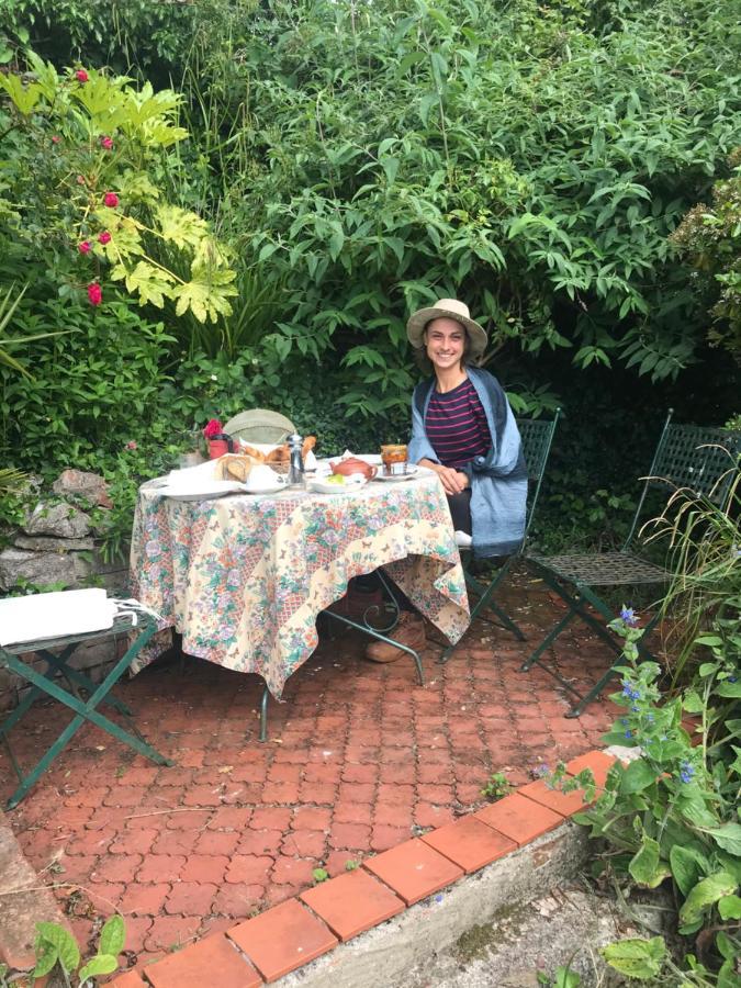 1920'S House. Private En Suite Sitting Room . Dog Friendly Teignmouth Exteriör bild